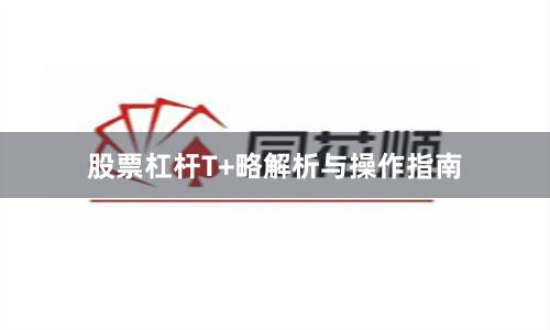股票杠杆T+略解析与操作指南