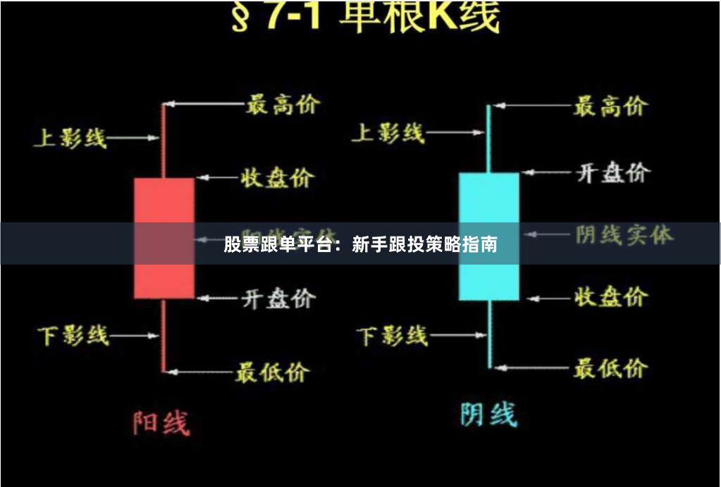 股票跟单平台：新手跟投策略指南