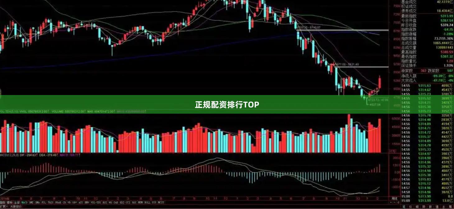 正规配资排行TOP