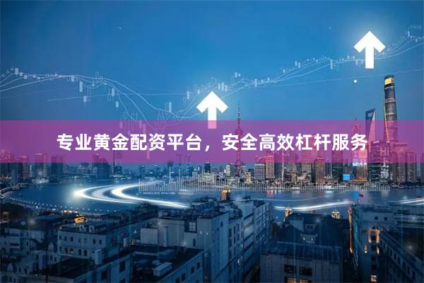 专业黄金配资平台，安全高效杠杆服务